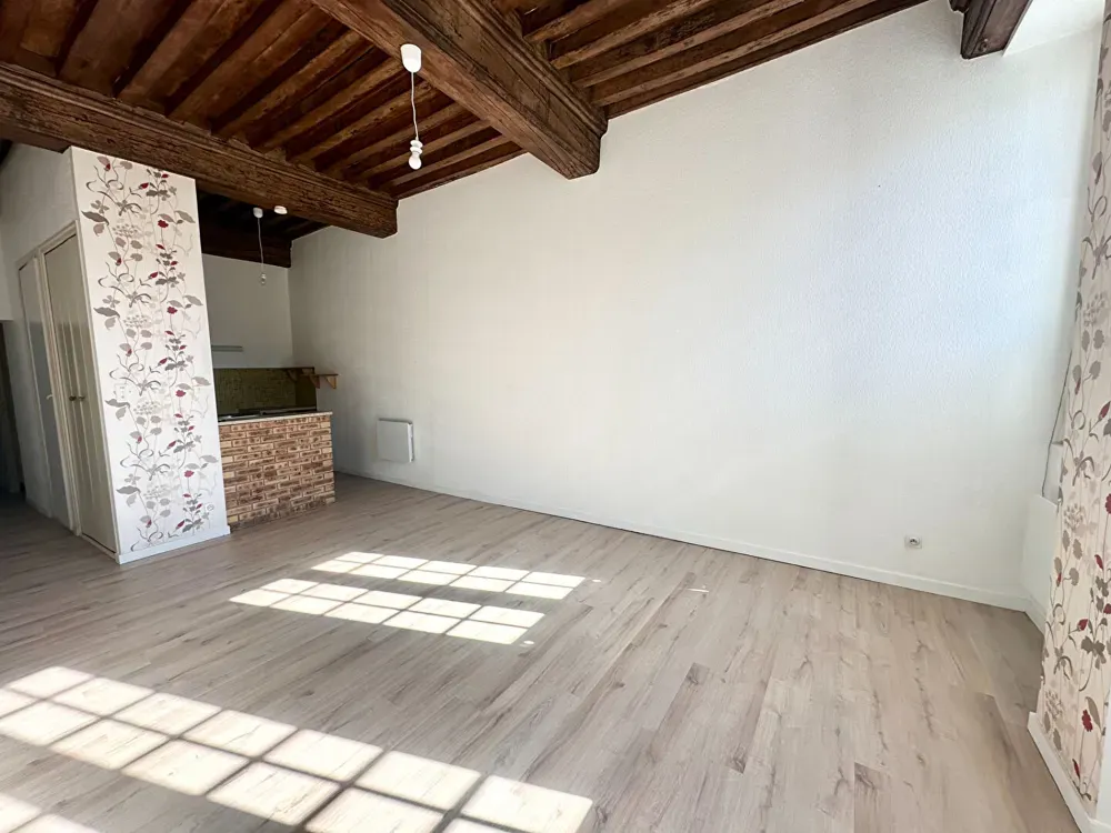 Pièces - Studio Rénové avec Plafond à la Française à Chenôve