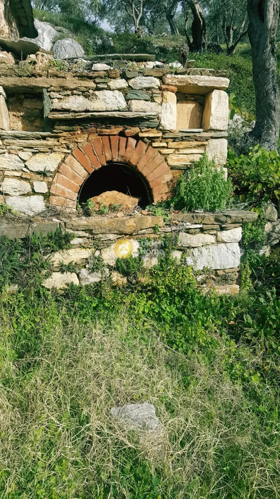 Extérieur - Traditional Olive Grove with Panoramic Views in Pelion