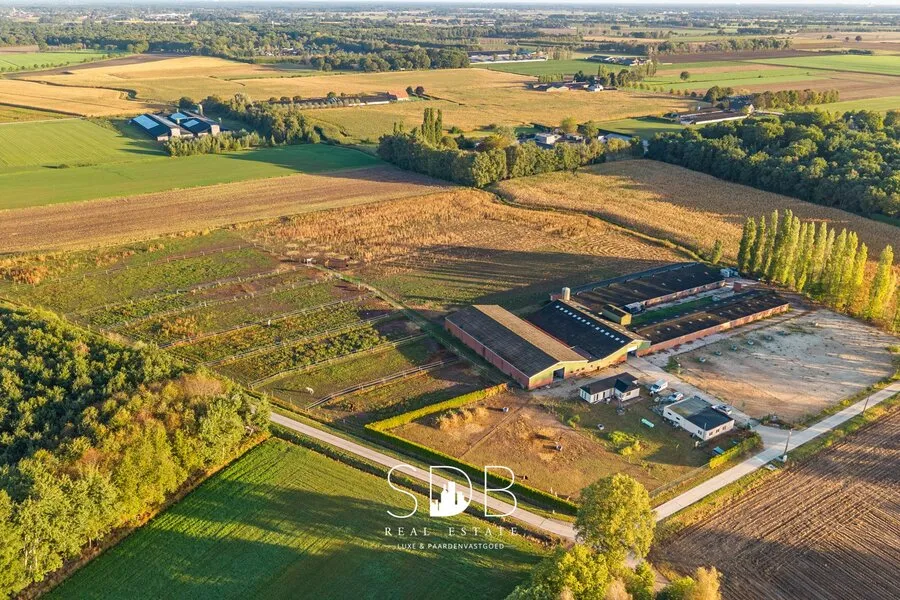 Aerial - Farmhouse with Equestrian Facilities in Weelde