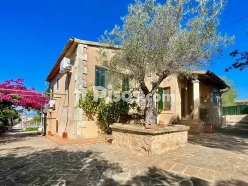 Esterno - Rustic Finca with Pool in Portol, Marratxí