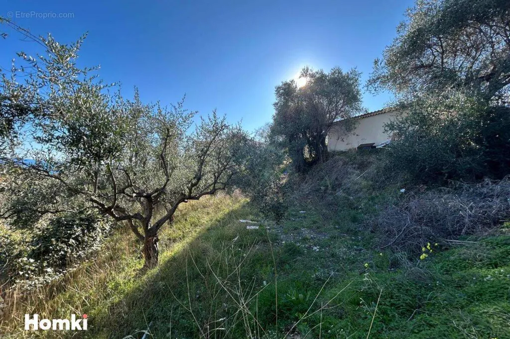 Garden - Buildable Plot with Sea View in Nice Bellet