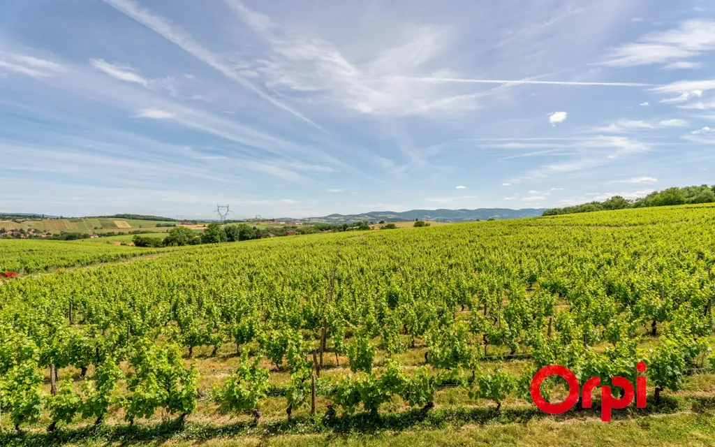Aed - Renovated House with Panoramic View in L'Arbresle