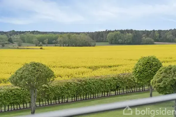 Jardin - Modernised Villa with Garden in Hadsund