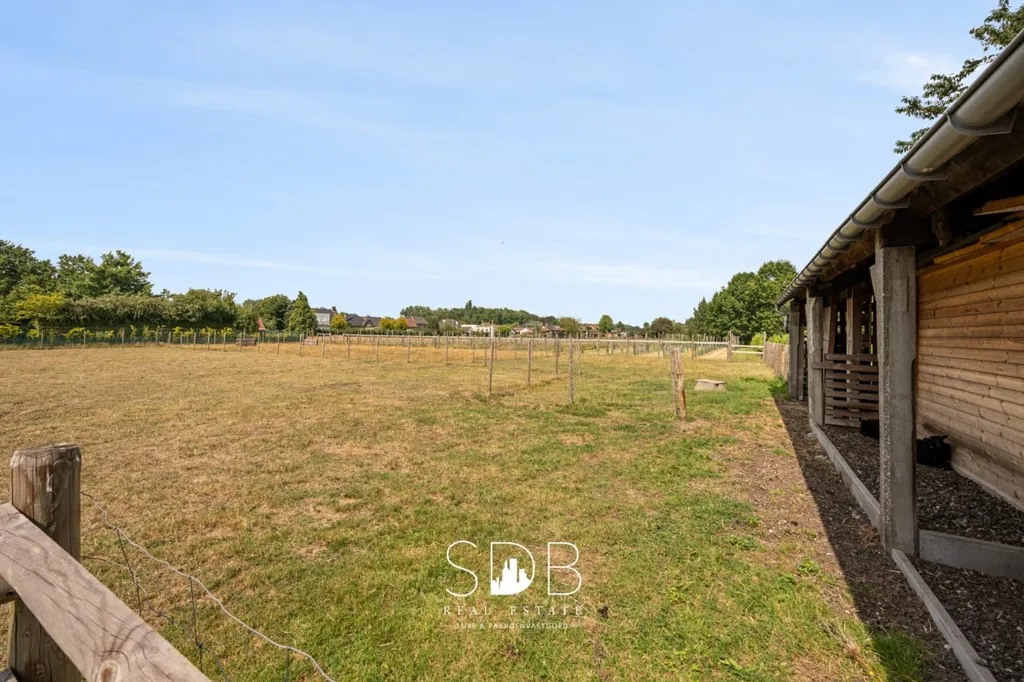 Aed - Contemporary House with Vineyard in Wachtebeke