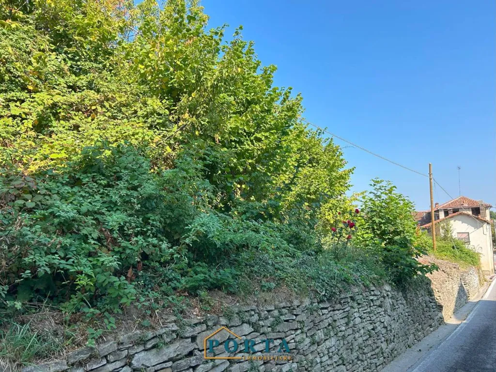 Jardin - Terraced House with Panoramic View in Rocca Cigliè