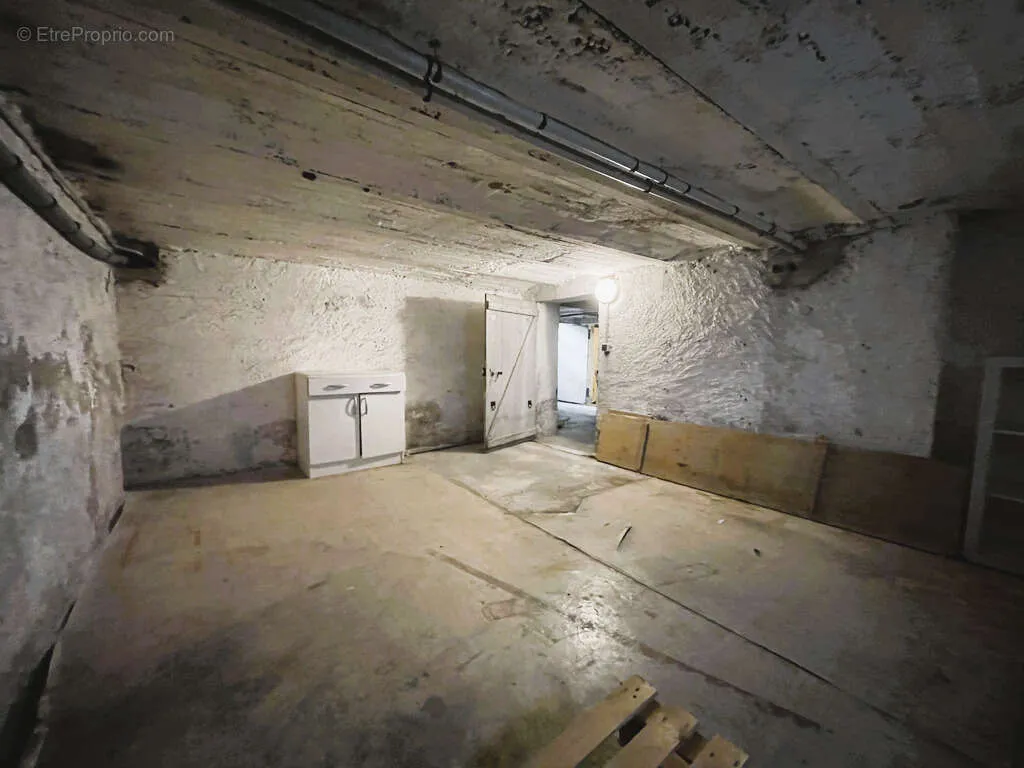 Toad - T2 with Large Cellar in Central Location