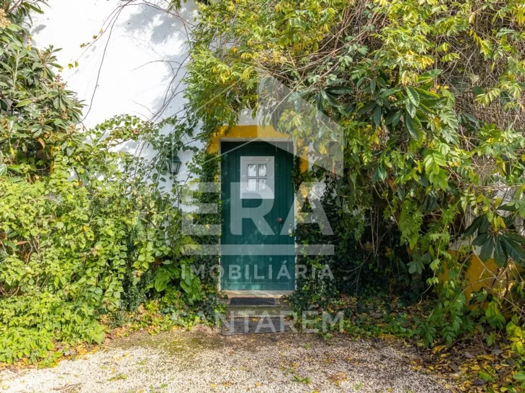 Extérieur - Luxury House with Agricultural Land in Benfica do Ribatejo