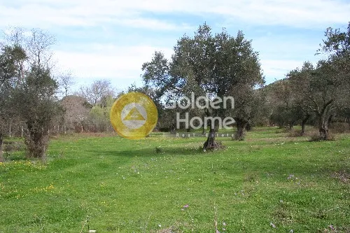 Aed - House with Panoramic Sea View in Skiaθos - Chora