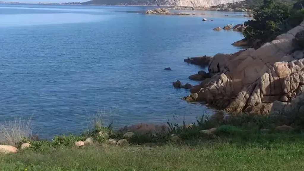 Contemporary Villa with Sea Access in San Teodoro
