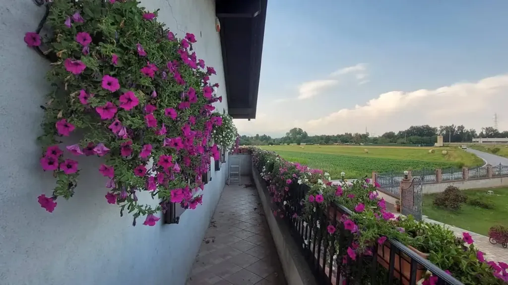 Balcon - Villa with Garden and Pool in San Benigno Canavese