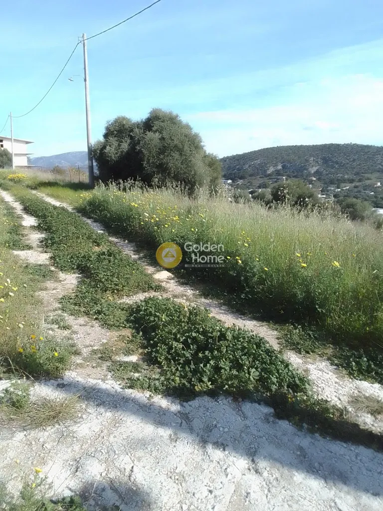 Giardino - Agricultural Plot with Sea View in Kifissia