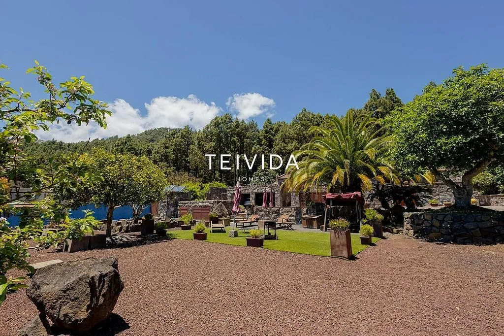 Garden - Villa with Pool and Bodega in El Rosario