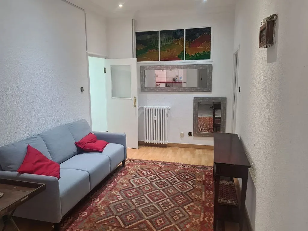 Elutuba - Furnished Flat with Air Conditioning in Chamberí