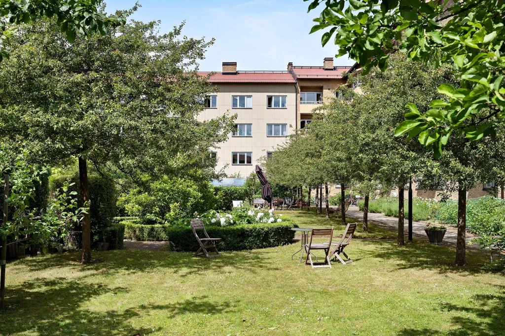 Garden - Studio Flat with Garden in Stockholm