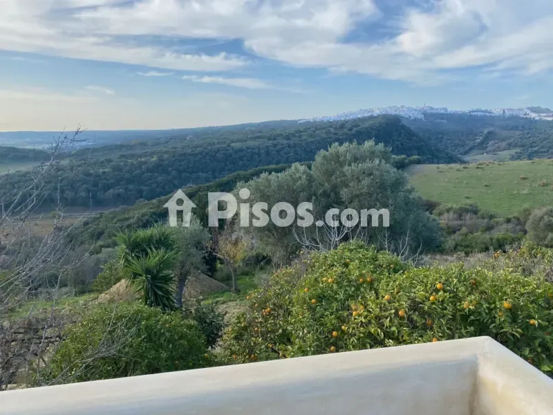 Terrasse - Rustic Finca with Olive Trees in Vejer de La Frontera