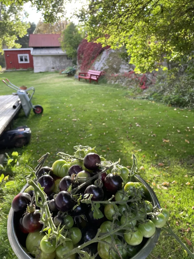 5-toaline maja asukohas Tjörns kommun