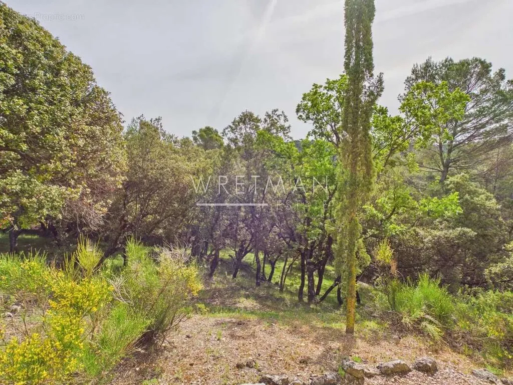 Jardin - Maison avec Vue sur la Campagne à Tourtour
