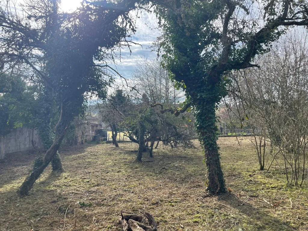 Giardino - Charming Stone House with Garden in Sugères