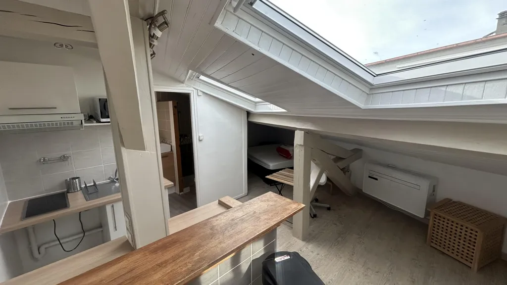 Toad - Mansarded Studio with Skylights in Delille