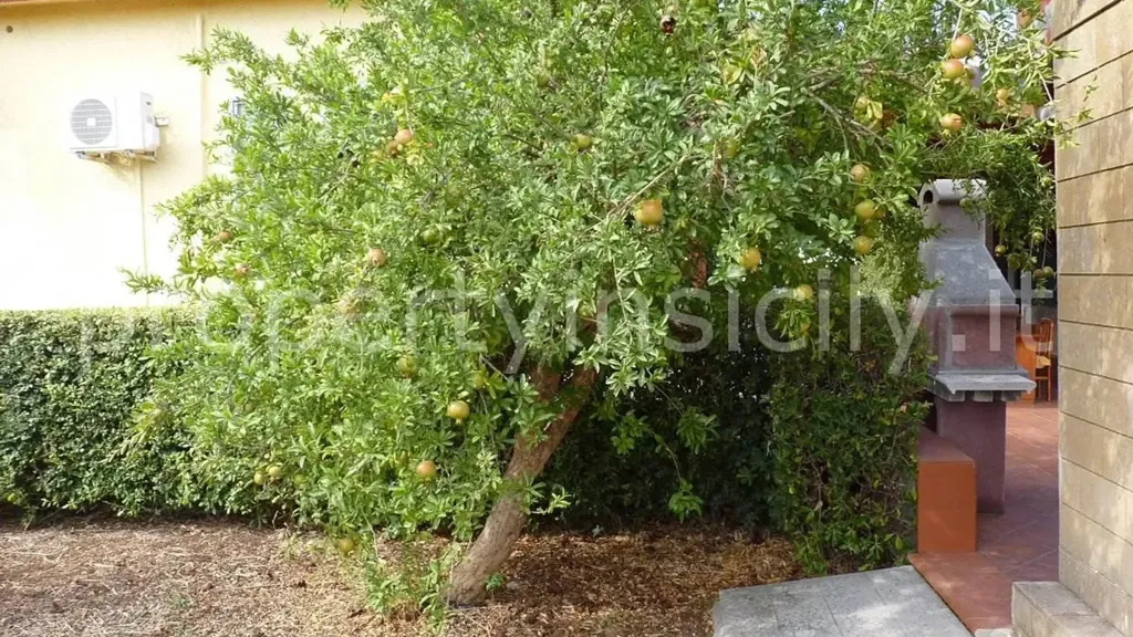 Jardin - Villa with Pool near Siracusa