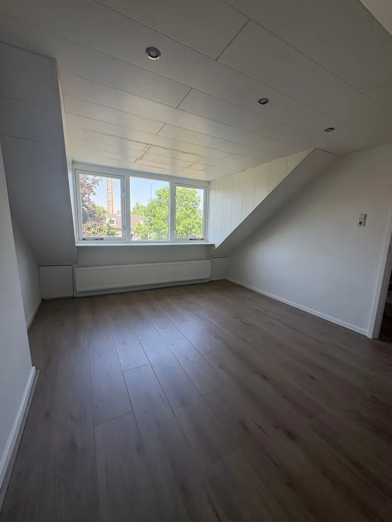 Toad - Partially Renovated House with Garden in Eindhoven