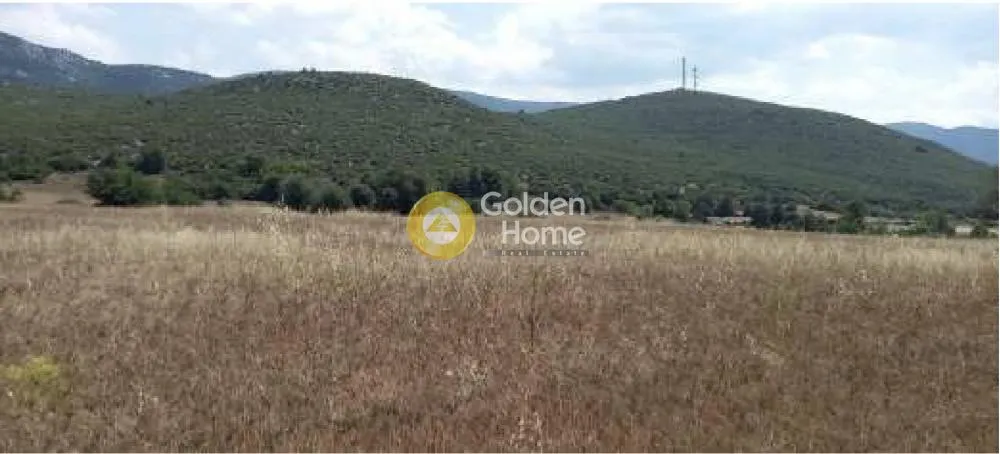 Terrain à GR