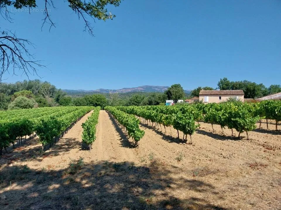 Terrain à Cogolin