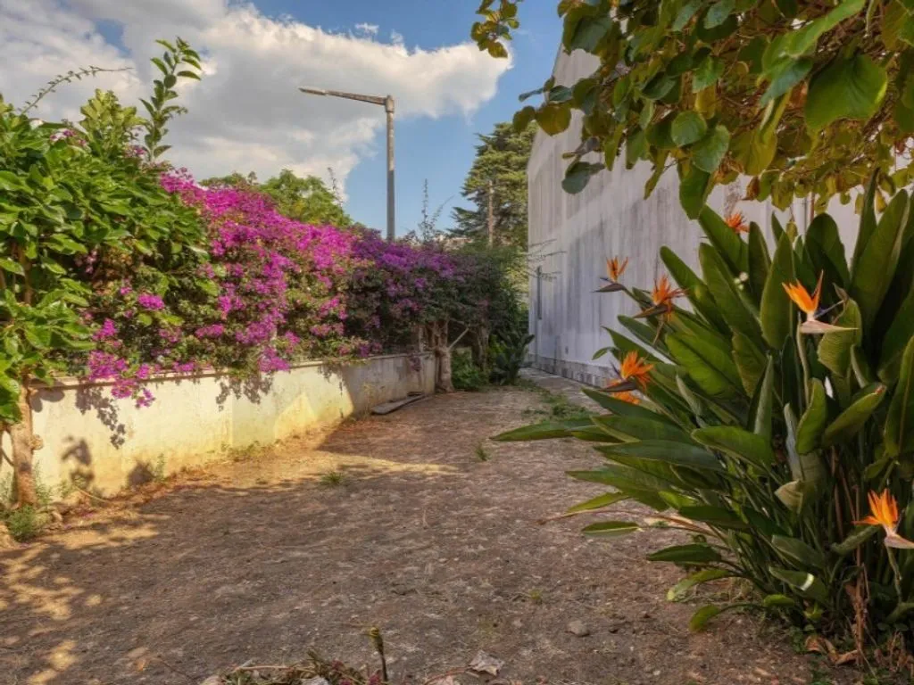 Aed - Luxury House with Garden in Cascais