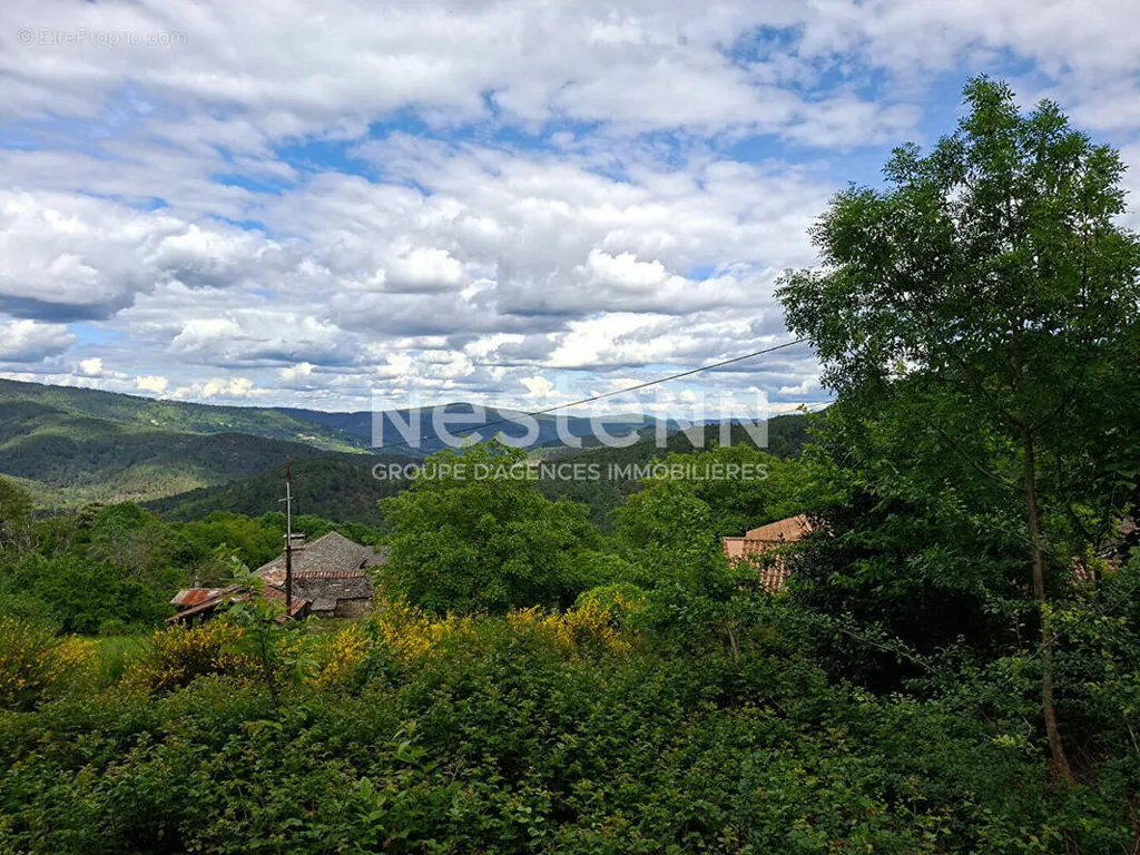 Garden - Flat Plot with Valley View in Quiet Area