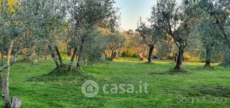 Jardin - Rustic Tuscan Farmhouse with Pool in Reggello