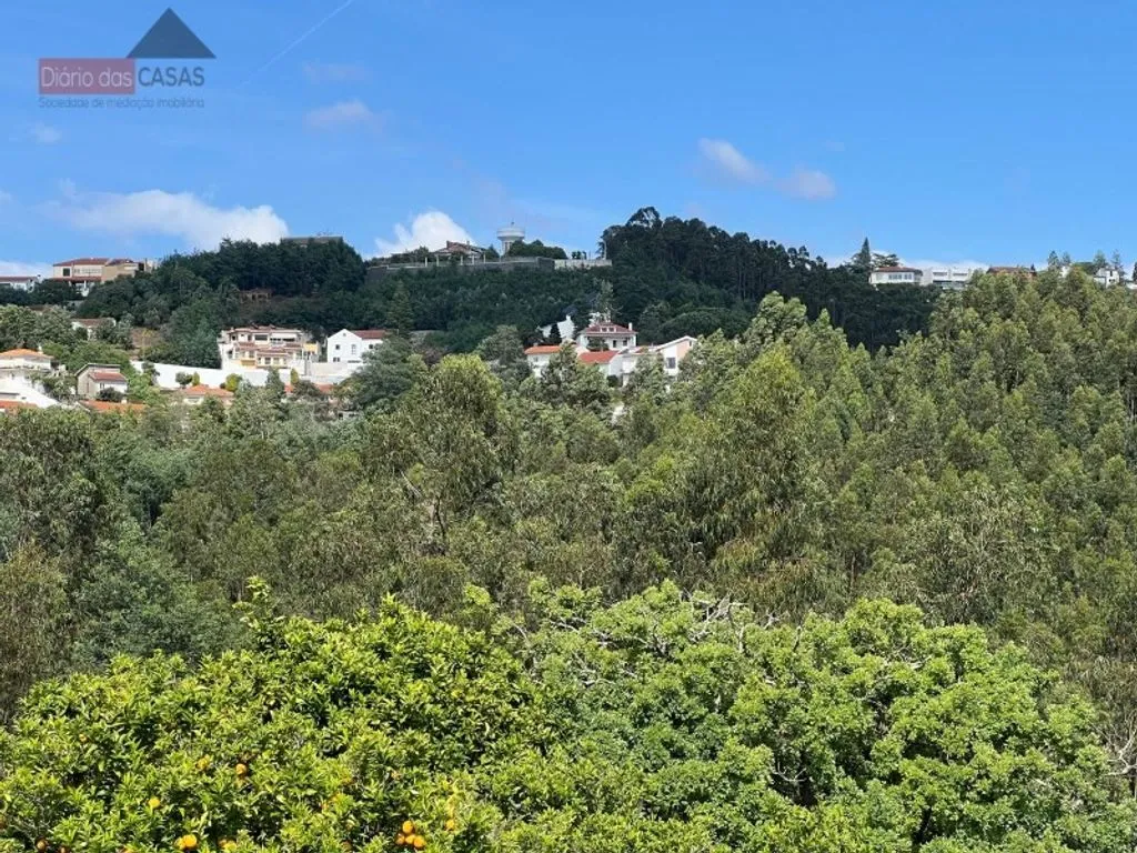 Luxury Apartment Complex with Garden in Coimbra