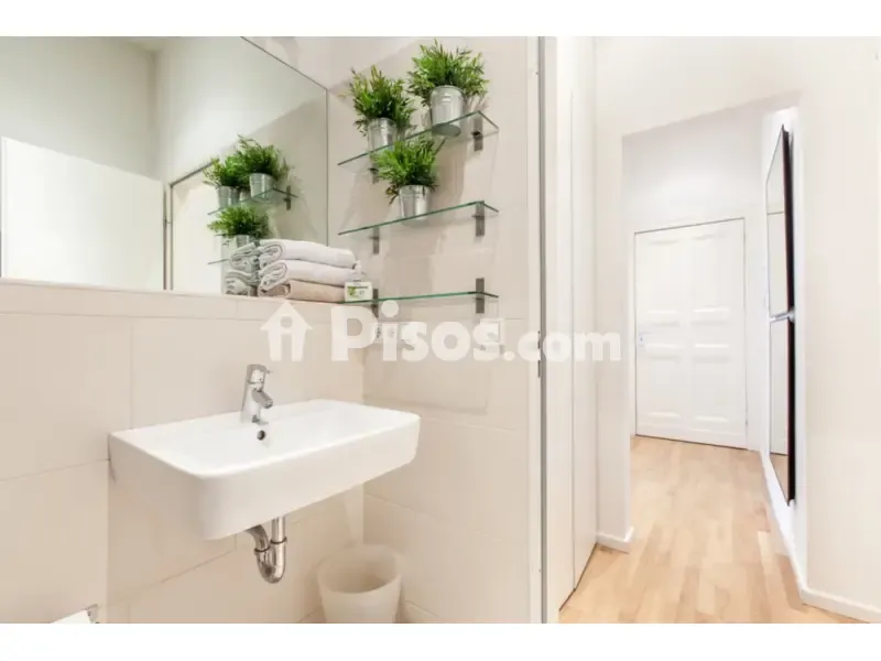 Vannitoad - Sunny Apartment with Balcony in Centro-Catedral