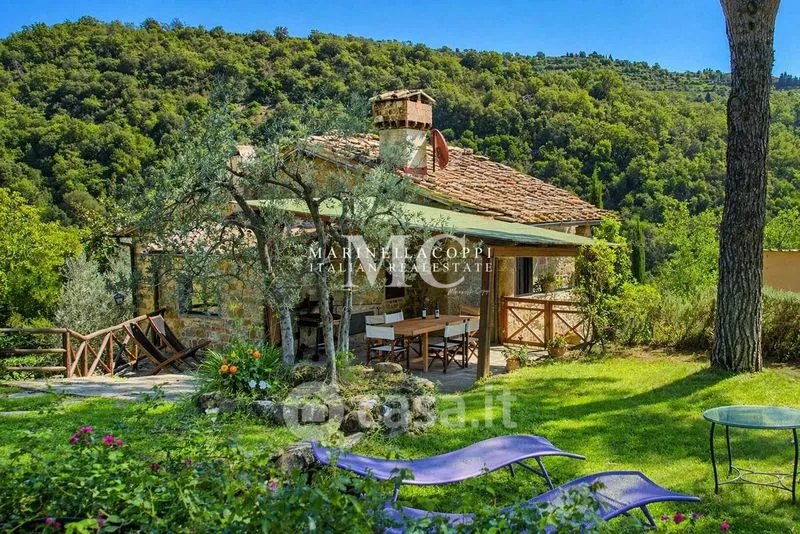 Jardin - Chianti Farmhouse with Vineyard and Pool in Greve