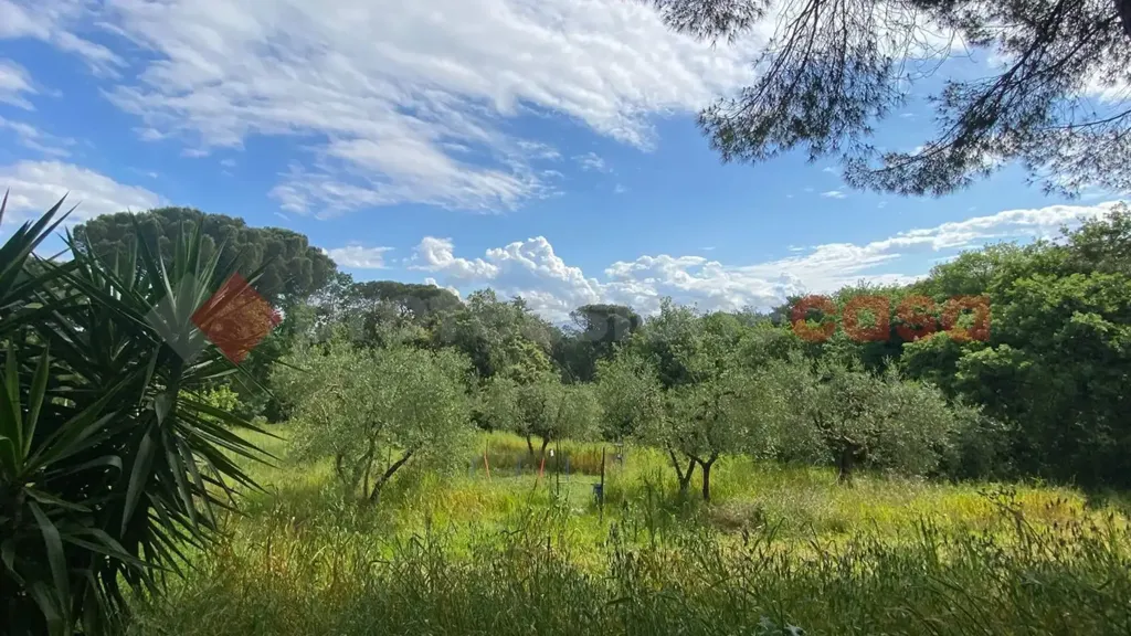 Aed - Villa with Olive Grove in Lastra a Signa