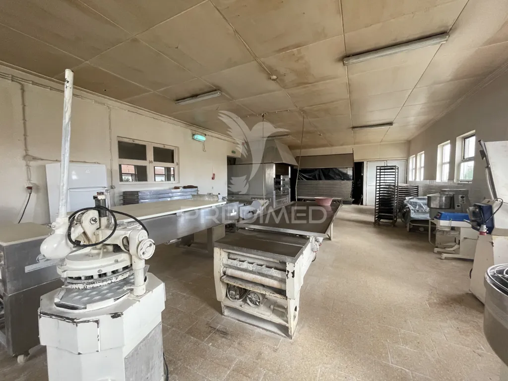 Cuisine - Industrial Unit with Bakery in Urzelina