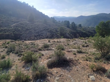 All Photos (13) - Rustic Land with Mountain Views in Tibi