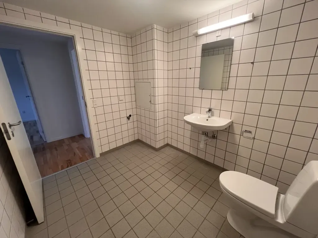Vannitoad - 4-Bedroom Apartment with Balcony in Kolding