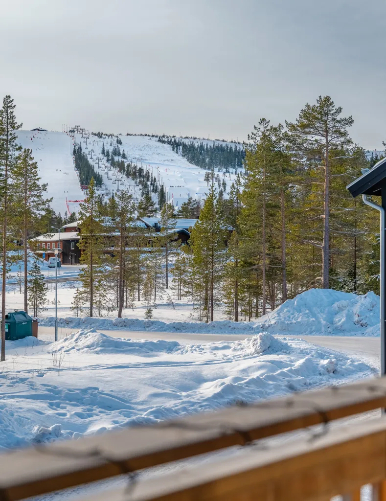 Balcon - Etagé with Ski Access in Lindvallen