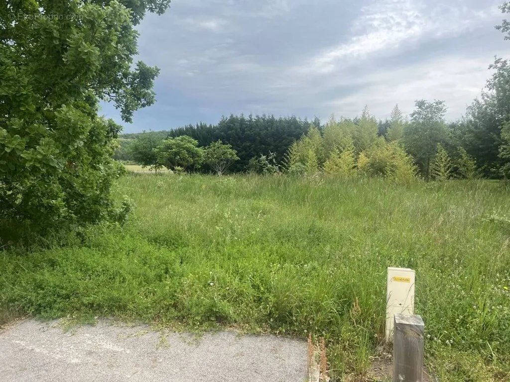 Garden - Buildable Land with Proximity to Bressols Centre