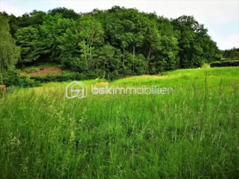 Aed - Constructible Plot with Forest View near Épernon