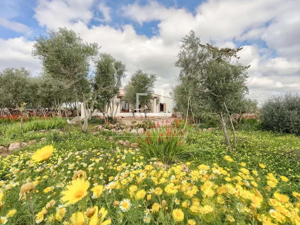 Jardin - Historic Estate with Equestrian Potential in Llucmajor