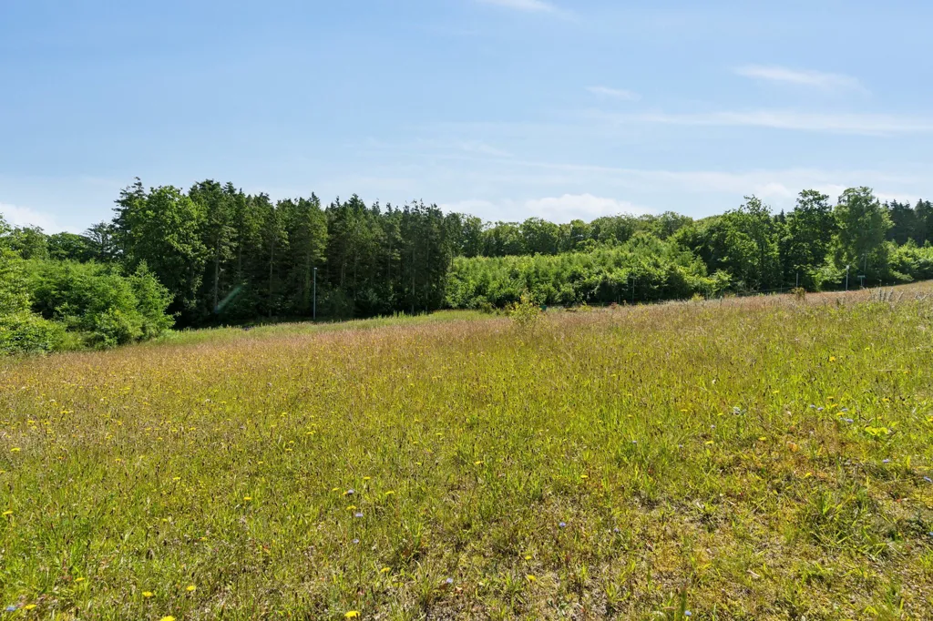 Jardin - Year-Round Plot with 5G Coverage in Mariager