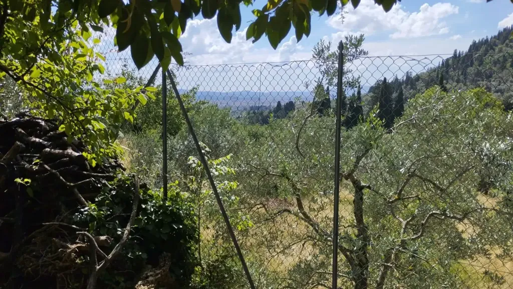 Giardino - Panoramic Apartment with Garden in Settignano, Florence