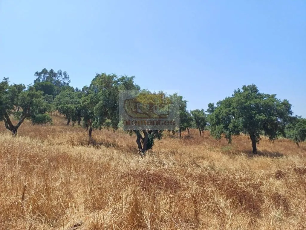 Garden - Development Land with Mountain Views in Grândola