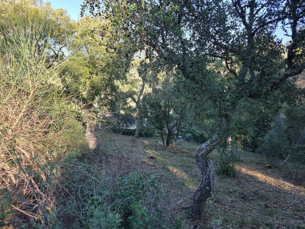 Maa asukohas Pierrefeu-du-Var