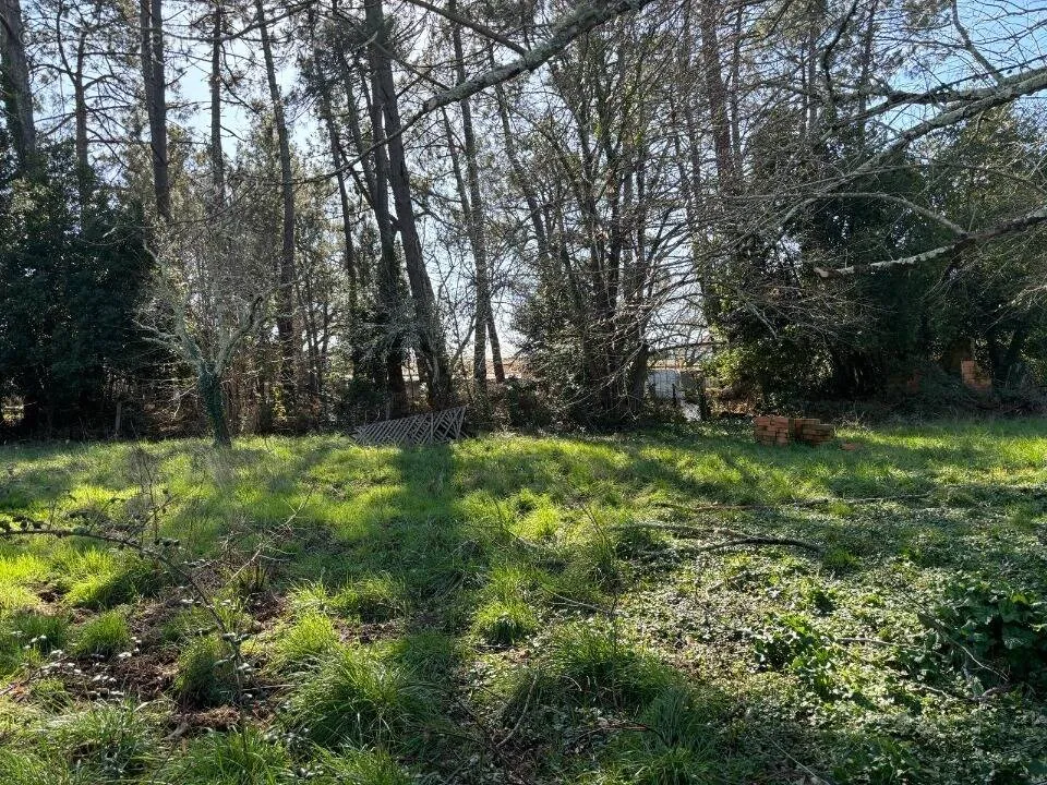 Jardin - Terrain Boisé avec Belle Exposition à Lanton