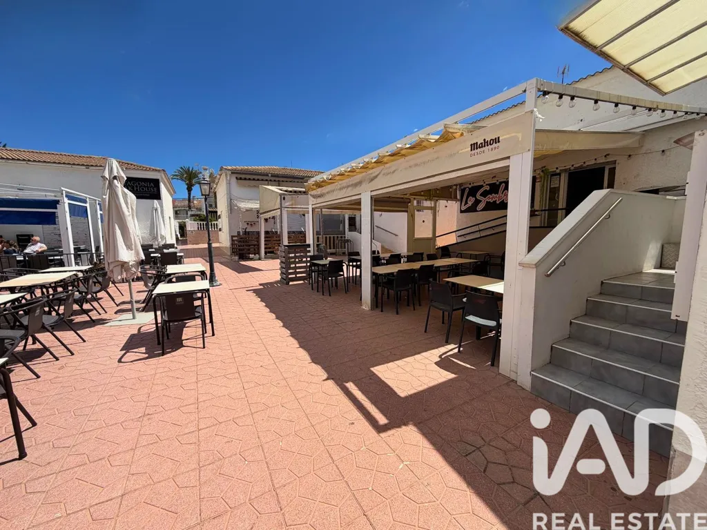 Terrace - Bungalow with Terrace in Gran Alacant