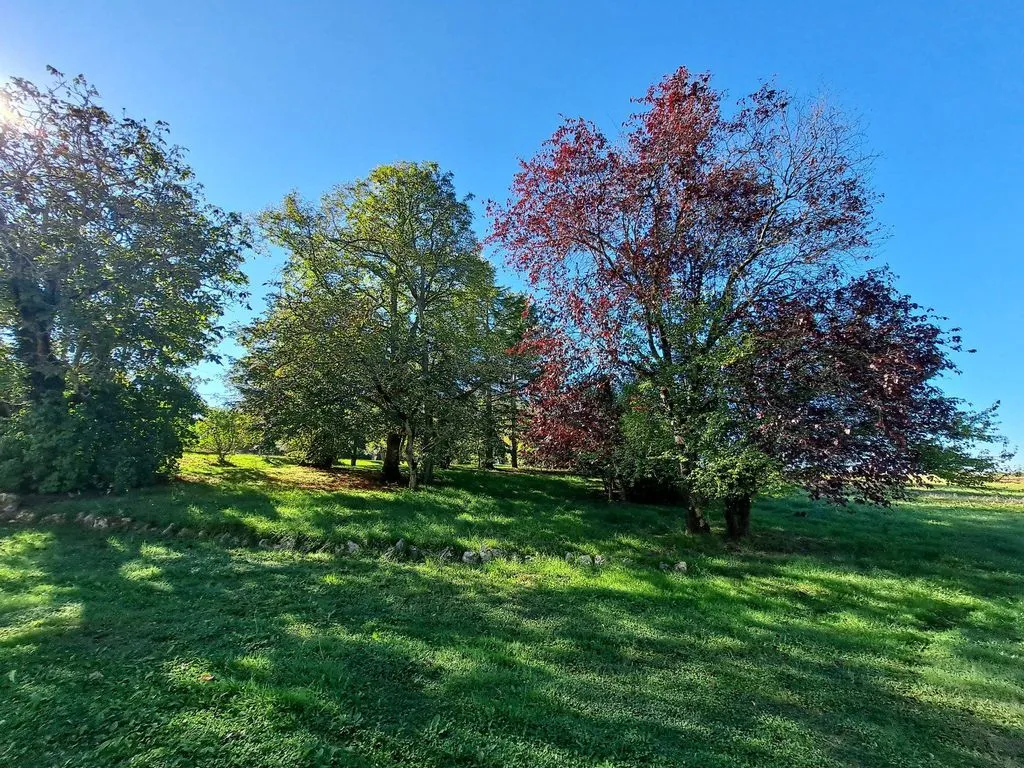 Garden - Luxury House with Large Plot in Fleurance