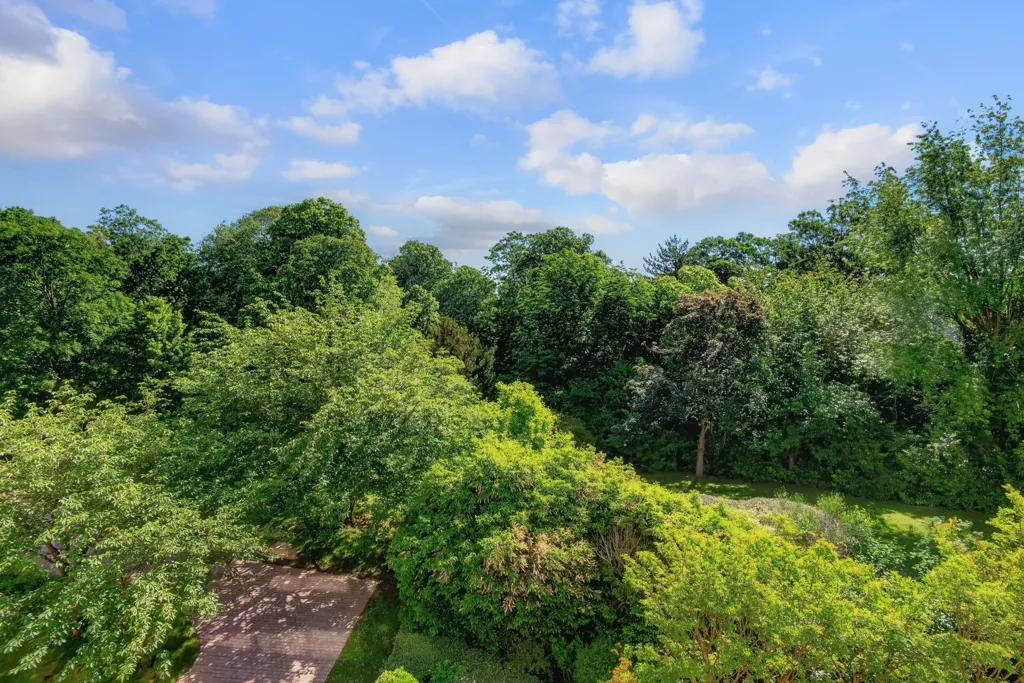 Vista aerea - Renovated Apartment with Park View in Saint-Cloud