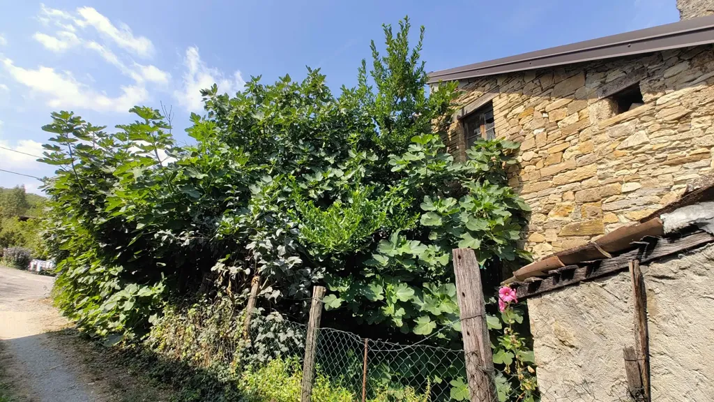 Extérieur - Rustic Stone Cottage in Lugagnano Val D'Arda